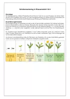 Vorschau - Arbeitsblätter - Mentoring für Schüler - Klasse 5/6 - Lernentwicklung & Leistungsentwicklung - Seite 1