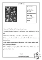 Vorschau - Mal- und Bastelvorlagen - Die bunte Blumenwiese im Frühling und Sommer - Seite 3