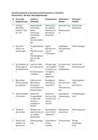 Vorschau - Lehrpläne/Lehrermaterial - KEP Kompetenzentwicklungsplan L1 Lernfeld 1: Berufliche Identität und professionelle Perspektiven entwickeln, 160 Stunden, Erzieher - Seite 1