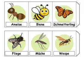 Vorschau - Arbeitsblätter - Materialpaket - Schneiden Insekten - Feinmotorik - Wortschatz - Seite 2
