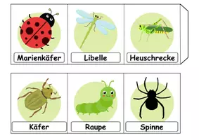 Vorschau - Arbeitsblätter - Materialpaket - Schneiden Insekten - Feinmotorik - Wortschatz - Seite 3