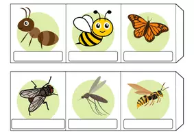Vorschau - Spiele - Leporello/Faltbuch Thema Insekten (Klasse 1 und 2) - Seite 3