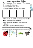 Vorschau - Spiele - Insekten Leserätsel - Lesen, schneiden, kleben - DaZ/DaF, Deutsch, Sachunterricht - Seite 2