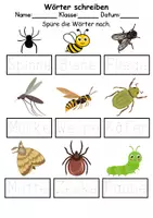 Vorschau - Lehrpläne/Lehrermaterial - Insekten Wörter und Sätze schreiben und Silben DaZ/DaF, deutsch - Seite 2