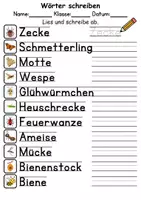 Vorschau - Lehrpläne/Lehrermaterial - Insekten Wörter und Sätze schreiben und Silben DaZ/DaF, deutsch - Seite 3