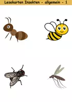 Vorschau - Mal- und Bastelvorlagen - Lesekarten/Bildkarten Insekten mittelschwer - DaZ/DaF, Deutsch (Grundschule) - Seite 1