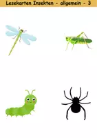 Vorschau - Mal- und Bastelvorlagen - Lesekarten/Bildkarten Insekten mittelschwer - DaZ/DaF, Deutsch (Grundschule) - Seite 3