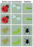 Vorschau - Spiele - Merk es dir Insekten (Bild-Bild) - DaZ/DaF, Deutsch (Klasse 1 bis 4) - Seite 2