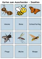 Vorschau - Mal- und Bastelvorlagen - Merk es dir Insekten (Bild-Wort) - DaZ/DaF, Deutsch (Klasse 1 bis 4) - Seite 1