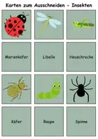 Vorschau - Mal- und Bastelvorlagen - Merk es dir Insekten (Bild-Wort) - DaZ/DaF, Deutsch (Klasse 1 bis 4) - Seite 2