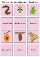 Vorschau - Mal- und Bastelvorlagen - Merk es dir Insekten (Bild-Wort) - DaZ/DaF, Deutsch (Klasse 1 bis 4) - Seite 3