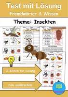 Vorschau - Test - Test Insekten - DaZ/DaF, Deutsch, Sachunterricht (Klasse 1 und 2) - Deckblatt