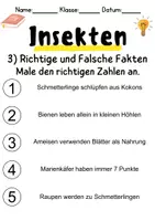 Vorschau - Mal- und Bastelvorlagen - Insekten Leseverstehen und Wortschatz - DaZ/DaF, Deutsch, Sachunterricht - Seite 3