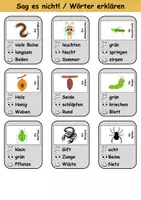 Vorschau - Spiele - Sag es nicht Insekten - DaZ/DaF, Deutsch (Spiel) - Seite 2