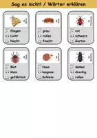 Vorschau - Spiele - Sag es nicht Insekten - DaZ/DaF, Deutsch (Spiel) - Seite 3