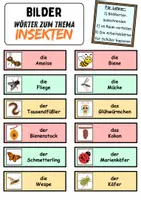 Vorschau - Unterrichtsreihen - Laufdiktat / Schleichdiktat Insekten - DaZ/DaF, Deutsch (Diktat) - Seite 1