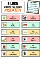 Vorschau - Unterrichtsreihen - Laufdiktat / Schleichdiktat Insekten - DaZ/DaF, Deutsch (Diktat) - Seite 2