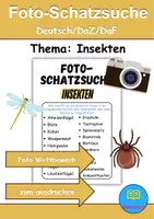 Vorschau - Unterrichtsreihen - GRATIS Foto-Schatzsuche Insekten - DaZ/DaF, Deutsch (Klassenspiel) - Deckblatt