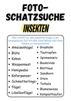Vorschau - Unterrichtsreihen - GRATIS Foto-Schatzsuche Insekten - DaZ/DaF, Deutsch (Klassenspiel) - Seite 1