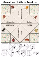 Vorschau - Spiele - Himmel und Hölle Insekten - DaZ/DaF, Deutsch (flaten/basteln) - Seite 3