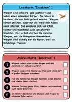 Vorschau - Spiele - Wendekarten/Lesekarten Insekten - DaZ/DaF, Deutsch - Seite 1