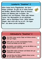 Vorschau - Spiele - Wendekarten/Lesekarten Insekten - DaZ/DaF, Deutsch - Seite 2