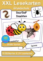 Vorschau - Spiele - XXL Lesekarten & Bildkarten Insekten - DaZ/DaF, Deutsch (Grundschule) - Deckblatt