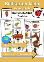 Vorschau - Arbeitsblätter - Kleine Bildkarten Insekten - DaZ/DaF, Deutsch (Grundschule) Vokabelkarten - Deckblatt