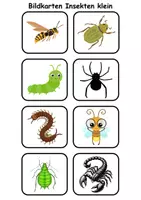 Vorschau - Arbeitsblätter - Kleine Bildkarten Insekten - DaZ/DaF, Deutsch (Grundschule) Vokabelkarten - Seite 3