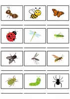 Vorschau - Mal- und Bastelvorlagen - Wörterliste Thema Insekten - DaZ/DaF, Deutsch (Grundschule) Kartenspiel - Seite 2
