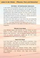 Vorschau - Unterrichtsreihen - 6. Heft - Lebensraum Wüste - 5. + 6. - Seite 2