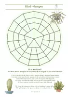 Voorbeeld - Mind - dropper cactus - overzicht in je hoofd - Voorblad