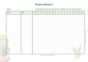 Voorbeeld - Projectplanner cactus - overzicht in je organisatie - Pagina 1