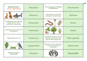 Vorschau - Spiele - Ökologie Domino - Biomino - Seite 2