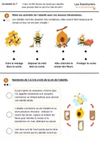 Aperçu - Préparation de séance / Séance complète - La préservation de la biodiversité : le cas de l'abeille - Page 1