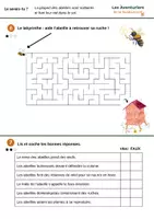 Aperçu - Préparation de séance / Séance complète - La préservation de la biodiversité : le cas de l'abeille - Page 2