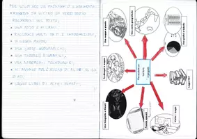 anteprima - Piani di lezione - quaderni di geografia scuola primaria - Pagina di copertina