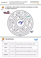 Aperçu - Feuilles d'exercices - L'écosystème marin en danger : le cas de la baleine - Page 2