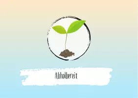 Vorschau - Bildkarten - Visualisierung Ablagen - Seite 3