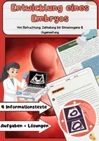 Vorschau - Arbeitsblätter - Schwangerschaft Materialpaket: Befruchtung, Verlauf, Geburt - Seite 1