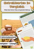 Vorschau - Arbeitsblätter - Getreide Materialpaket: Arten, Aufbau, Verarbeitung - Seite 1
