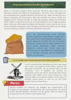 Vorschau - Arbeitsblätter - Getreide Materialpaket: Arten, Aufbau, Verarbeitung - Seite 2