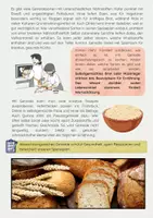 Vorschau - Arbeitsblätter - Ernährung: Getreide als Hauptbestandteil - Seite 2