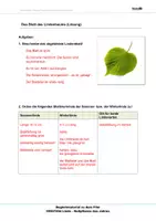 Vorschau - Arbeitsblätter - Die Linde - Arbeitsblätter und Lösungen PDF - Seite 3