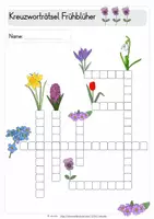 Vorschau - Arbeitsblätter - Kreuzworträtsel Frühblüher - dreifach differenziert - Seite 3