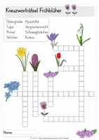 Vorschau - Arbeitsblätter - Kreuzworträtsel Frühblüher - dreifach differenziert - Seite 2