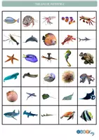 Aperçu - Jeux - CODAGE ET REPERAGE ANIMAUX MARINS - Page 3