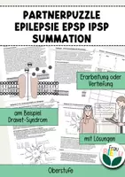Vorschau - Arbeitsblätter - Partnerarbeit Epilepsie Hemmende Synapsen Summation Verrechnung - Deckblatt