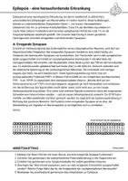 Vorschau - Arbeitsblätter - Partnerarbeit Epilepsie Hemmende Synapsen Summation Verrechnung - Seite 1