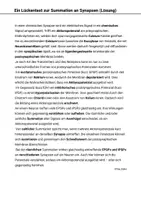 Vorschau - Arbeitsblätter - EPSP IPSP Räumliche Zeitliche Summation Lückentext - Seite 2
